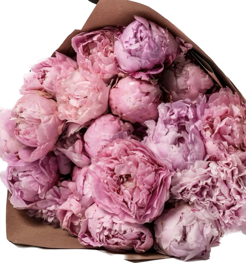 Peony bunch